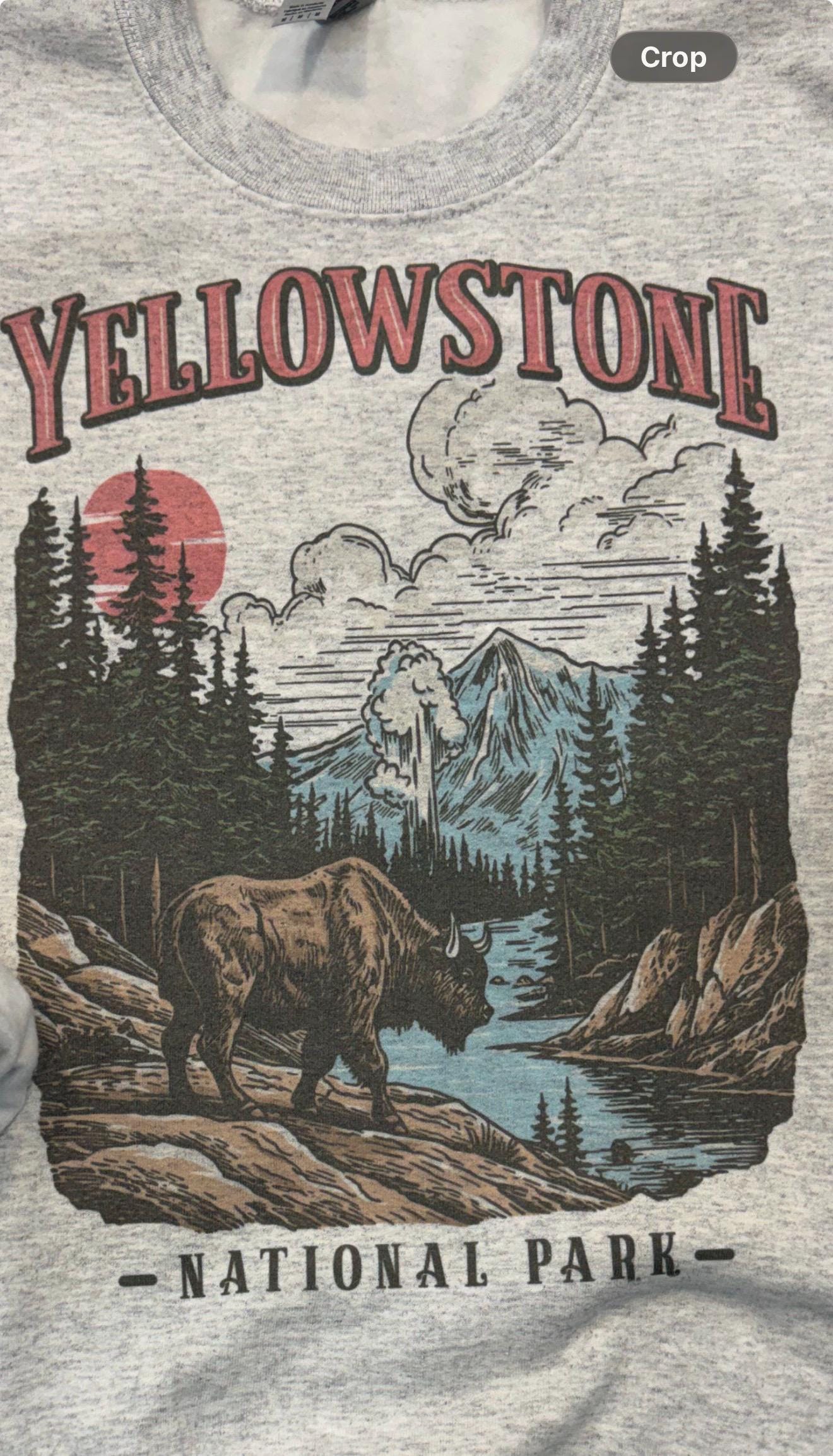 Yellowstone National Park Bison Graphic Sweatshirt | Vintage Western Crewneck Sweater